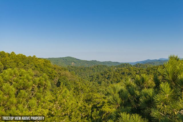Lot 1709 Rebekah Ridge Road, Talking Rock, GA 30175