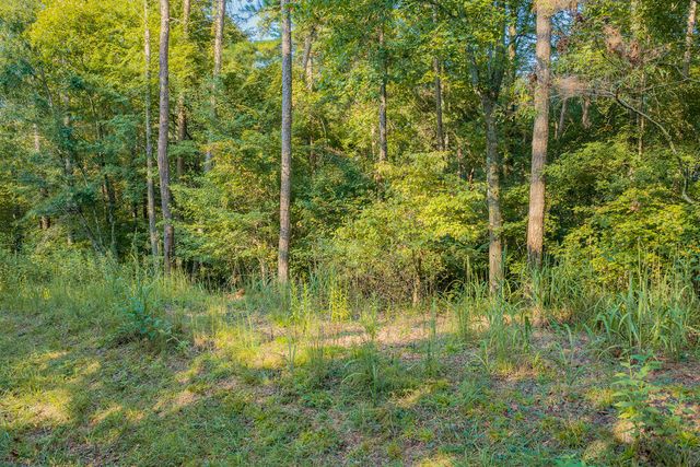 Lot 1709 Rebekah Ridge Road, Talking Rock, GA 30175