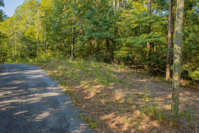 Lot 1709 Rebekah Ridge Road, Talking Rock, GA 30175