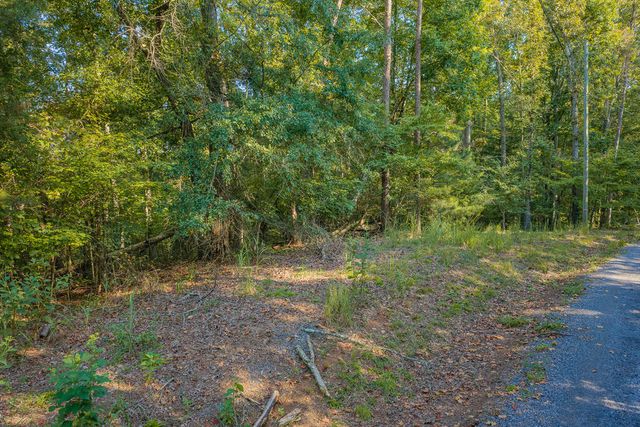 Lot 1709 Rebekah Ridge Road, Talking Rock, GA 30175