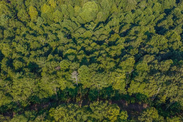 Lot 1709 Rebekah Ridge Road, Talking Rock, GA 30175