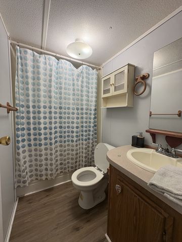 116 Landiss Ave, Cumberland City, TN 37050