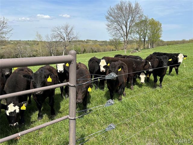 16150 County Road 8390, Rolla, MO 65401