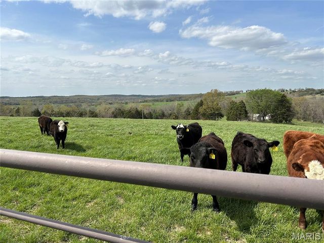 16150 County Road 8390, Rolla, MO 65401