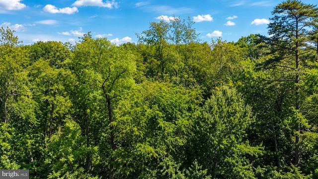 16603 BLEAK HILL RD, Culpeper, VA 22701