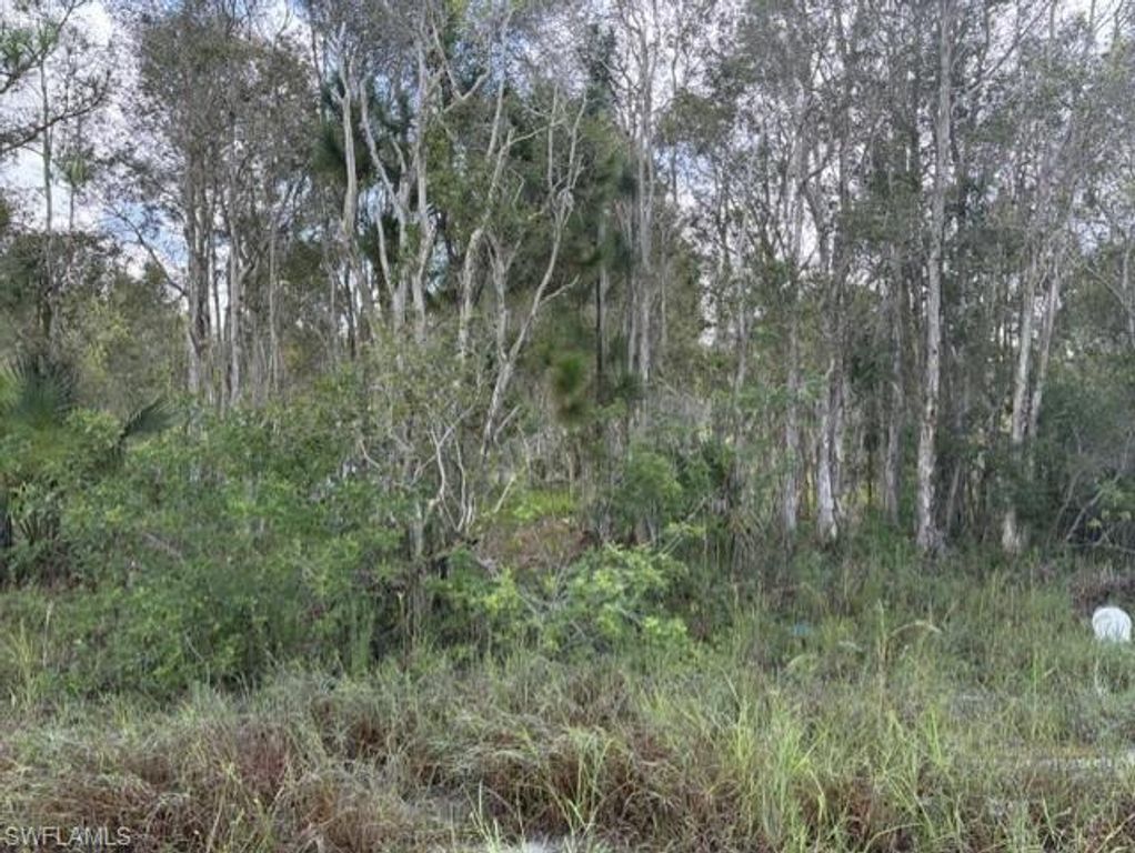 721 Bluebird AVE, LEHIGH ACRES, FL 33974 — exterior