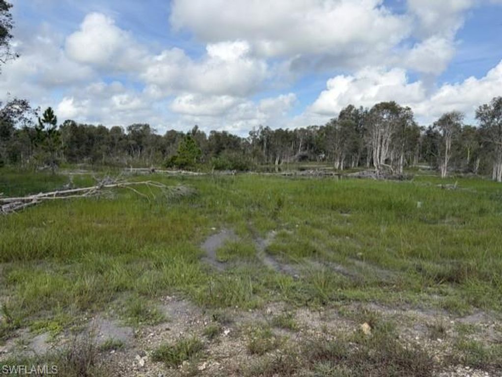 721 Bluebird AVE, LEHIGH ACRES, FL 33974 — photo 2