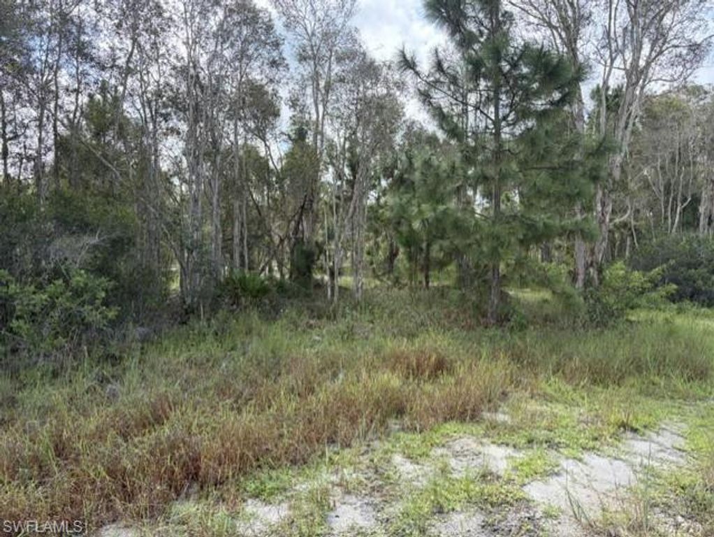721 Bluebird AVE, LEHIGH ACRES, FL 33974 — photo 5