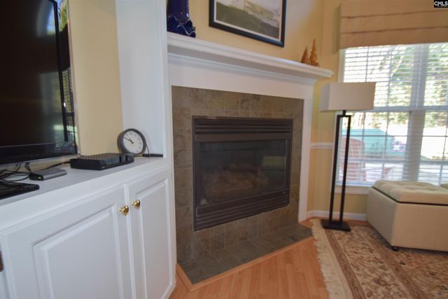 21 Southwoode Circle, Chapin, SC 29036