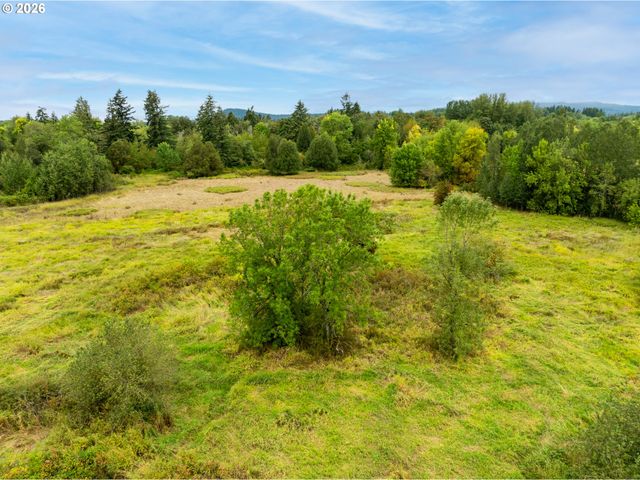 4831 Nw 38TH Ave, Camas, WA 98607