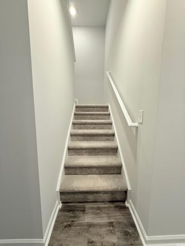 1133 Blueback Herring Way, Conway, SC 29526