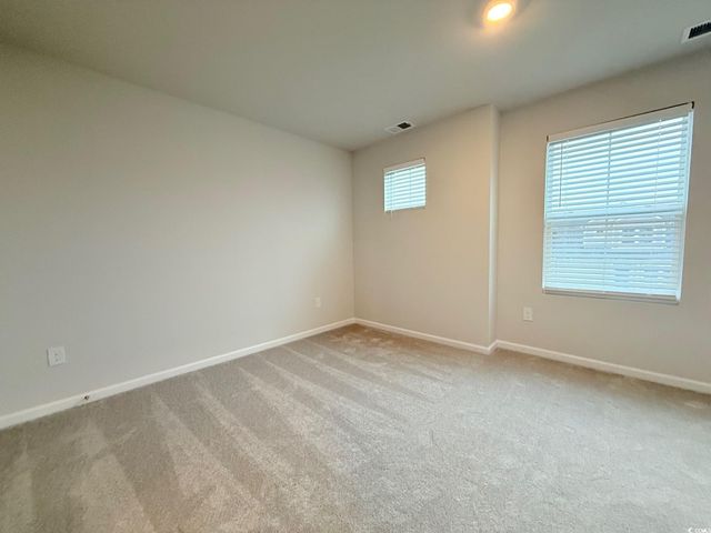 1133 Blueback Herring Way, Conway, SC 29526