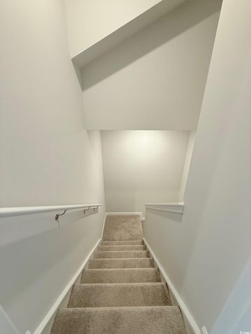 1133 Blueback Herring Way, Conway, SC 29526