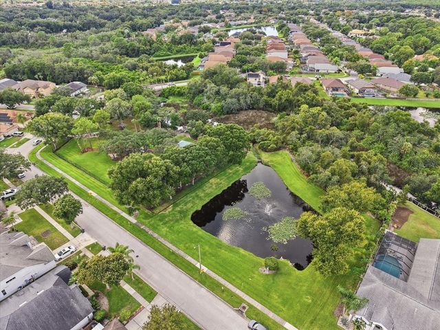 10271 OASIS PALM DR, Tampa, FL 33615