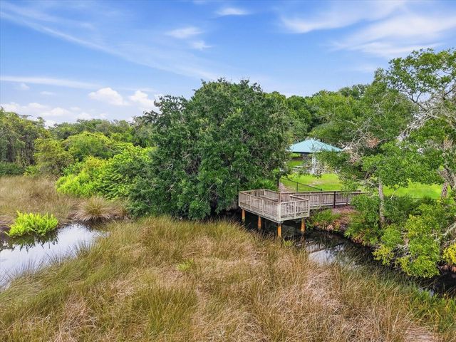 10271 OASIS PALM DR, Tampa, FL 33615