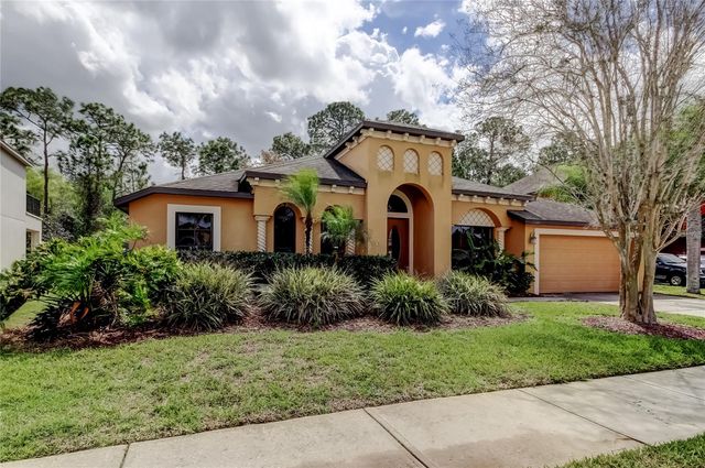 10820 RAIN LILLY PASS, Land O Lakes, FL 34638
