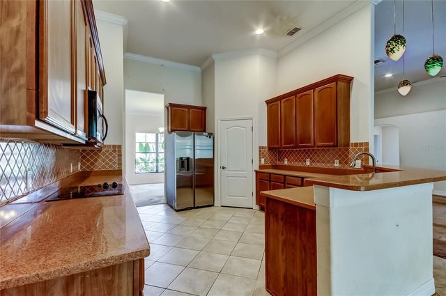 10820 RAIN LILLY PASS, Land O Lakes, FL 34638