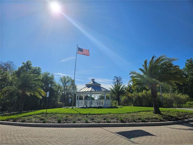 10820 RAIN LILLY PASS, Land O Lakes, FL 34638
