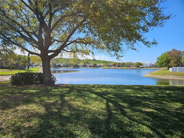 10820 RAIN LILLY PASS, Land O Lakes, FL 34638