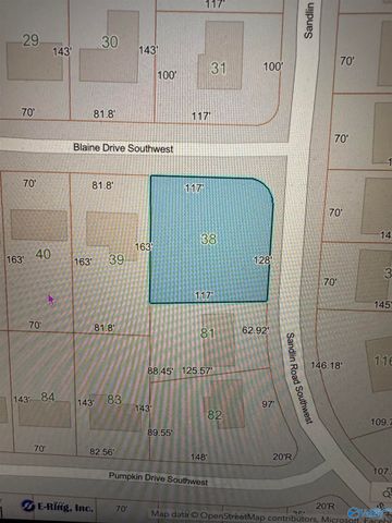 3113 SW Sandlin Road, Decatur, AL 35603