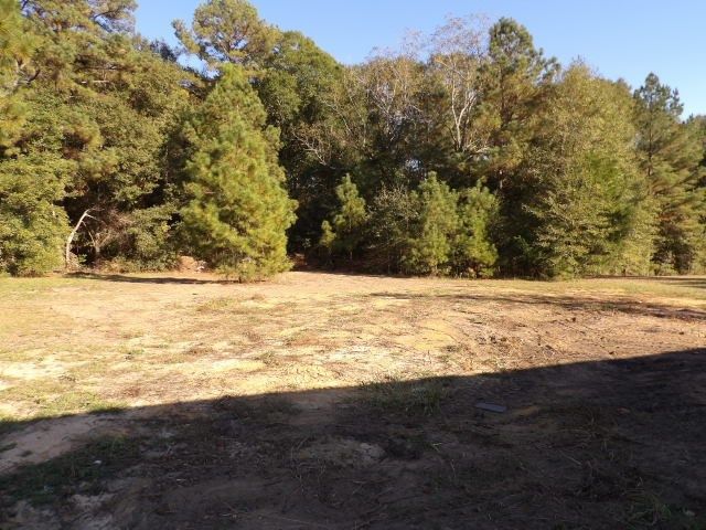 445 Bartlett Loop, Headland, AL 36345