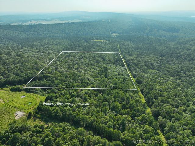 1 Hulsey Prairie, Panola, OK 74559