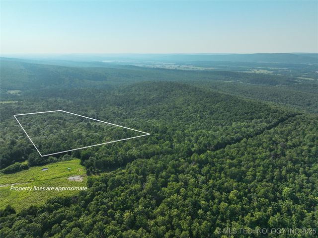 1 Hulsey Prairie, Panola, OK 74559