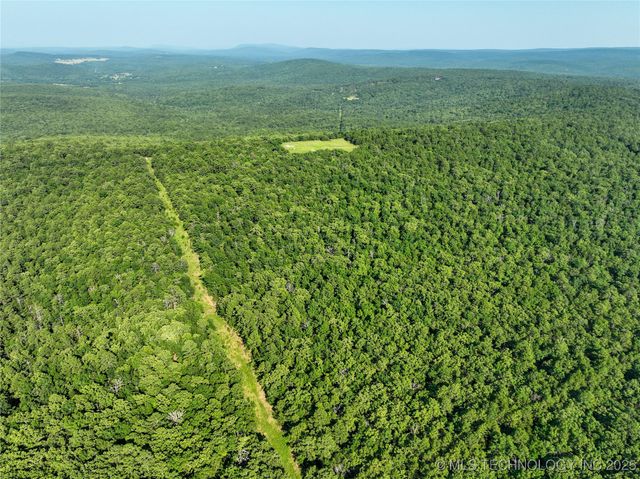 1 Hulsey Prairie, Panola, OK 74559