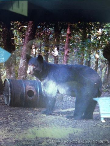 1 Hulsey Prairie, Panola, OK 74559