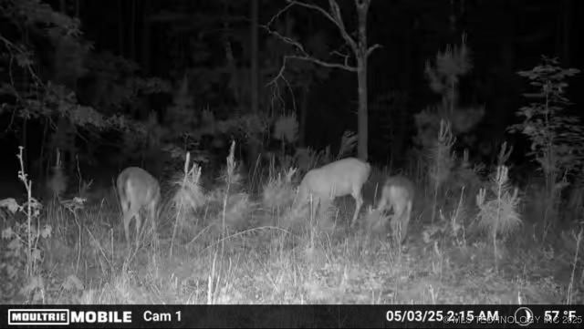 1 Hulsey Prairie, Panola, OK 74559