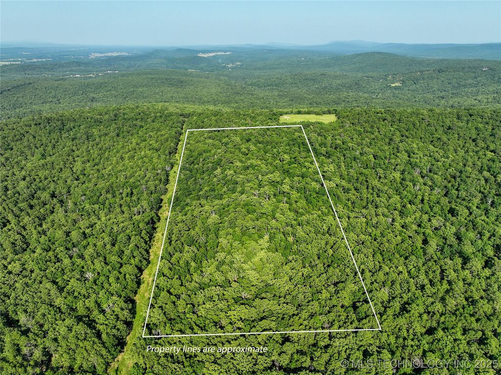 1 Hulsey Prairie, Panola, OK 74559