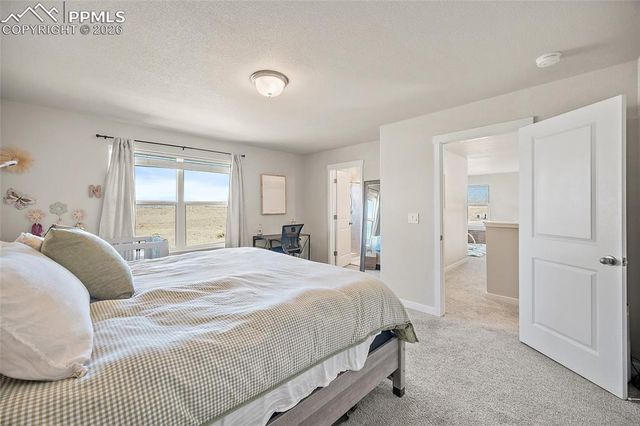 11286 Halifax Drive, Colorado Springs, CO 80925