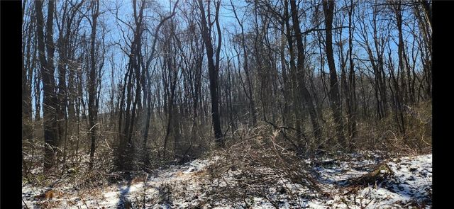 0 Nebo Rd, Saltlick Twp, PA 15622