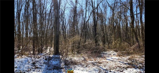 0 Nebo Rd, Saltlick Twp, PA 15622