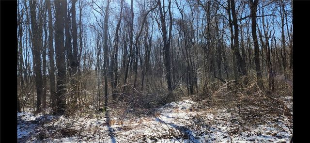 0 Nebo Rd, Saltlick Twp, PA 15622