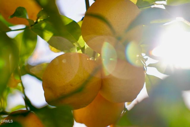 7405 Loma Vista Road, Ventura, CA 93003