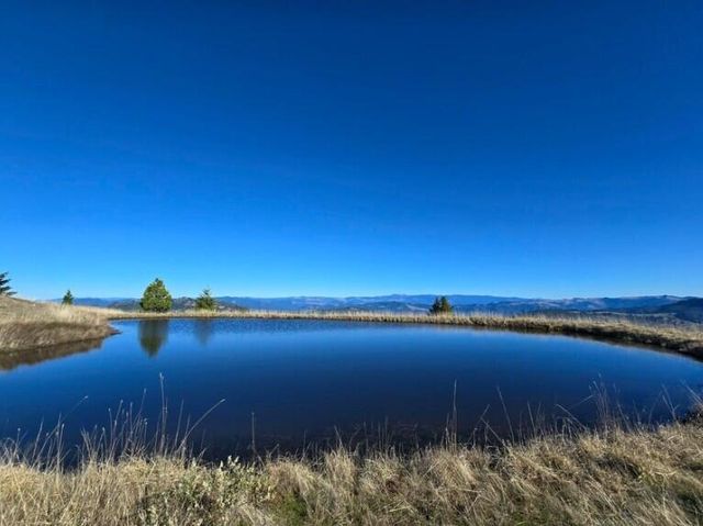 3602 Thomas Road, Miranda, CA 95553