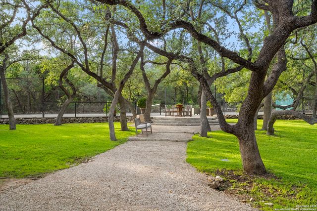 317 Limestone Creek, Hill Country Village, TX 78232