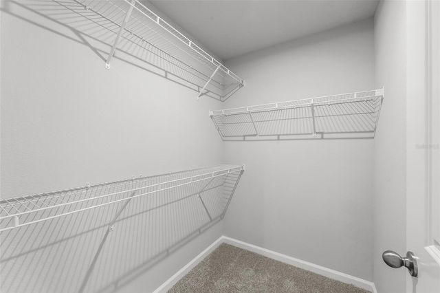 4366 CLOUD HOPPER WAY, Lutz, FL 33559