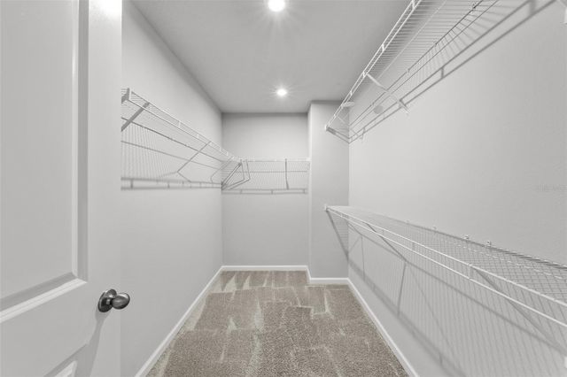 4366 CLOUD HOPPER WAY, Lutz, FL 33559