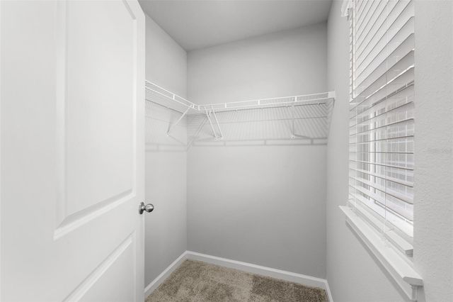 4366 CLOUD HOPPER WAY, Lutz, FL 33559
