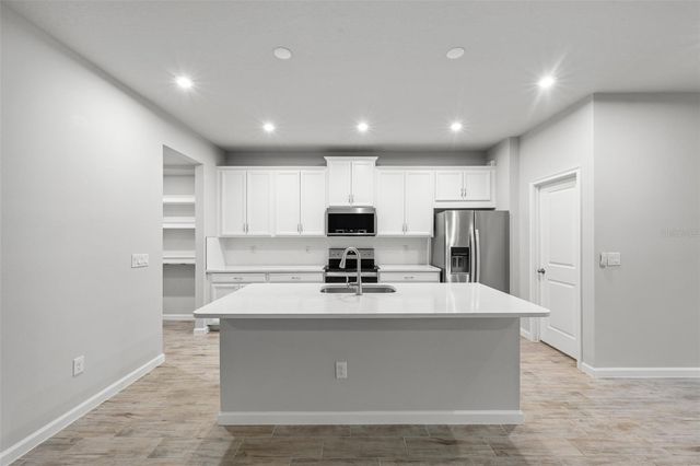 4366 CLOUD HOPPER WAY, Lutz, FL 33559