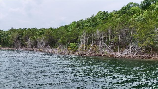 Cedar Forest Drive, Garfield, AR 72732