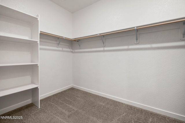 707 Butte Creek Road, Dayton, NV 89403