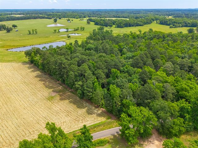 4206 Gilliam Lane, Naples, TX 75568