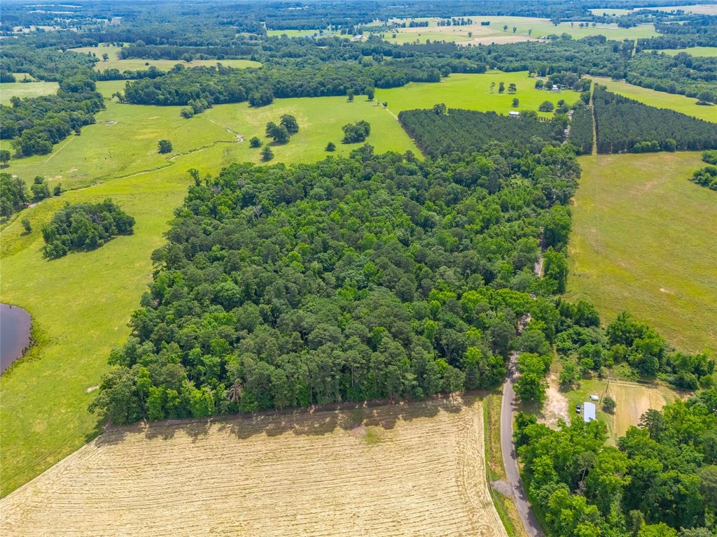 4206 Gilliam Lane, Naples, TX 75568