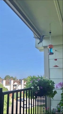 491 S Kalispell Way 305, Aurora, CO 80017