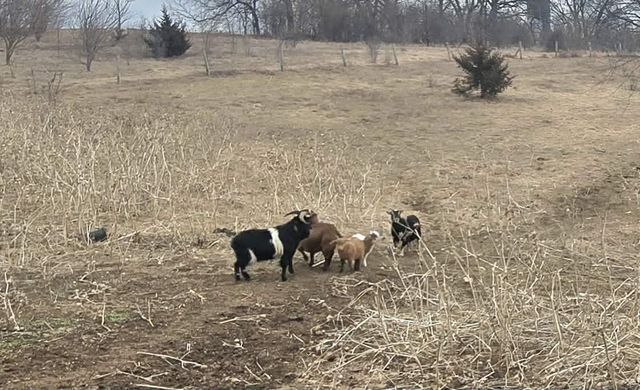 13405 W State Road 81, Brodhead, WI 53520