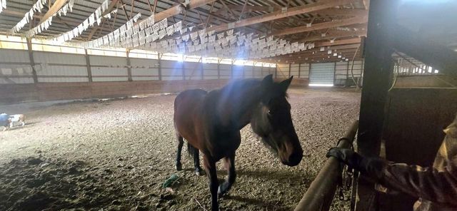 13405 W State Road 81, Brodhead, WI 53520