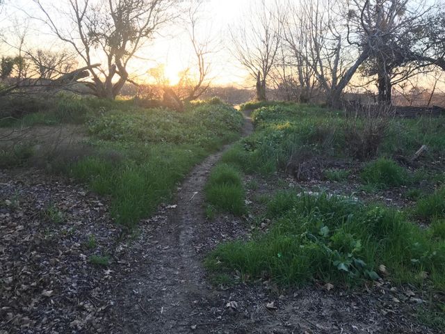 5720 Riverside Blvd, Sacramento, CA 95822